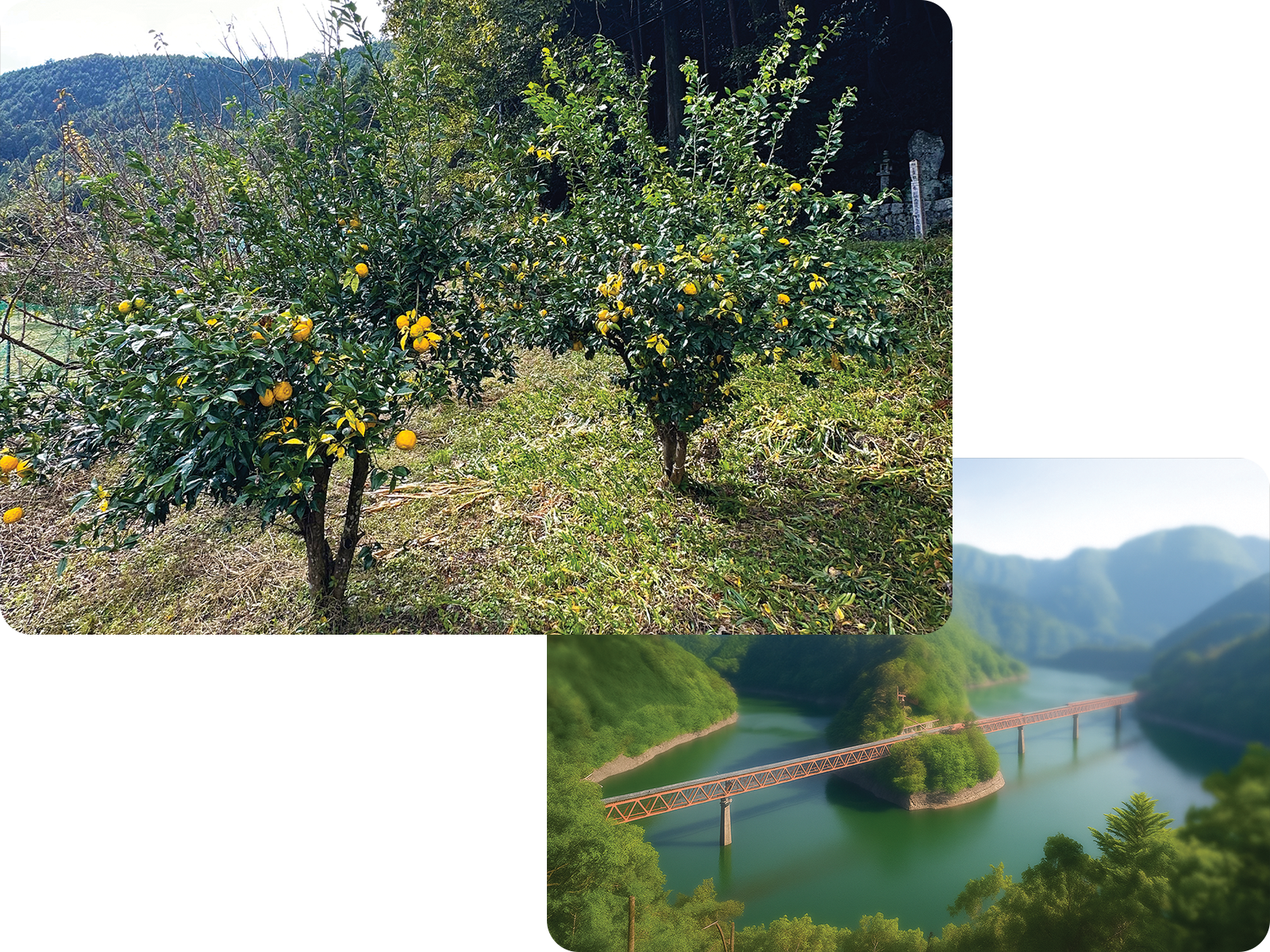 Kawane village landscape and natural environment